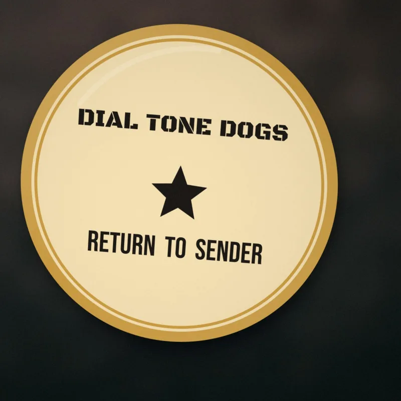Return to Sender enamel pin by Dial Tone Dogs