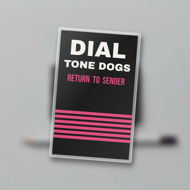 Return to Sender cassette by Dial Tone Dogs
